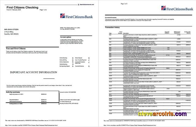 USA First Citizens Bank statement Word and PDF, 2 pages